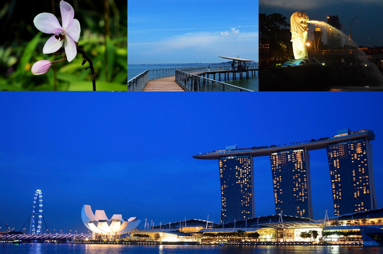 新加坡-春风十里——新加坡国立大学交换小结