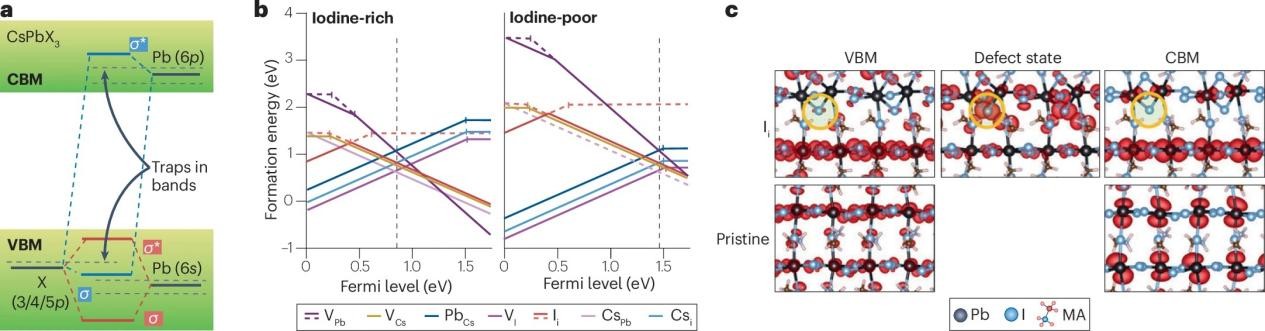 图片2_79054图片2